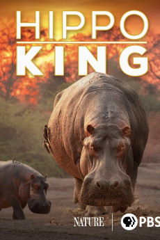 Nature Hippo King Documentary مستند