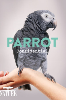 Nature Parrot Confidential Documentary مستند