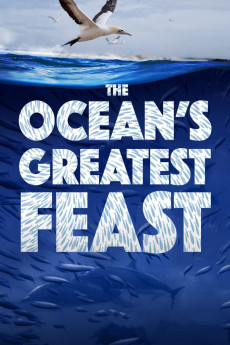 Nature The Ocean’s Greatest Feast Documentary مستند