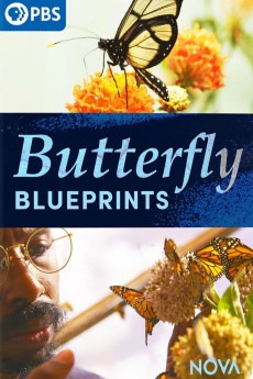 Nova Butterfly Blueprints Documentary مستند