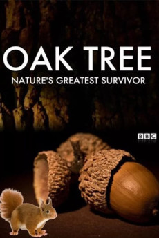 Oak Tree: Nature’s Greatest Survivor Documentary مستند