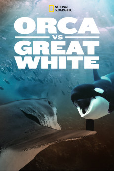 Orca vs. Great White Documentary مستند