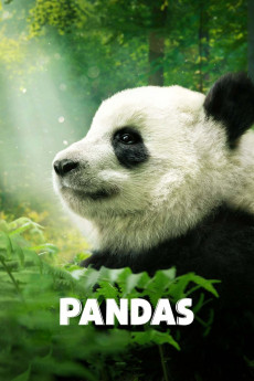 Pandas Documentary مستند