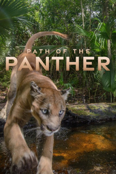 Path of the Panther Documentary مستند