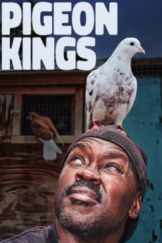 Pigeon Kings Documentary مستند