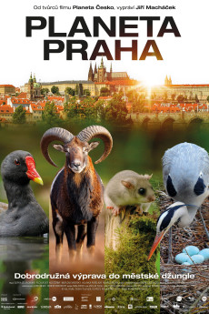 Planeta Praha Documentary مستند