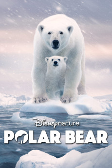 Polar Bear Documentary مستند