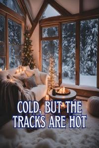 Various Artists – cold but the tracks are hot (2024) Mp3 320kbps [PMEDIA] ⭐️