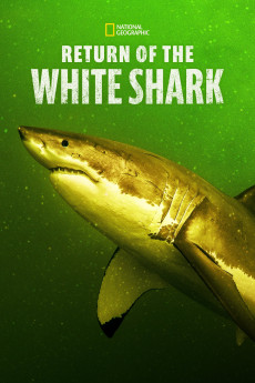 Return of the White Shark Documentary مستند