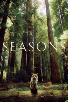 Seasons Documentary مستند