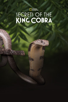 Secrets of the King Cobra Documentary مستند