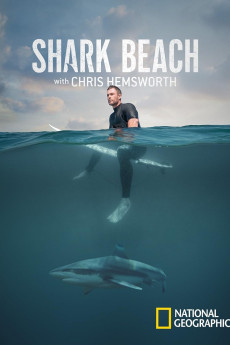 Shark Beach with Chris Hemsworth Documentary مستند