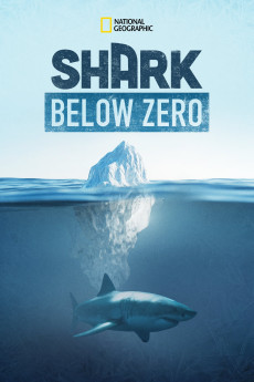 Shark Below Zero Documentary مستند