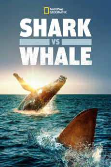 Shark vs. Whale Documentary مستند