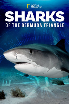 Sharks of the Bermuda Triangle Documentary مستند