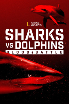 Sharks vs. Dolphins: Blood Battle Documentary مستند