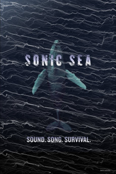 Sonic Sea Documentary مستند