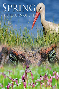 Spring: The Return of Life Documentary مستند