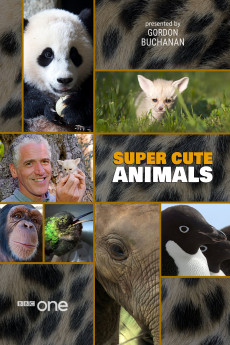 Super Cute Animals Documentary مستند