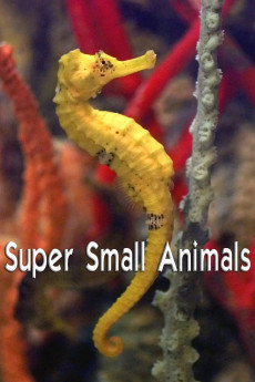 Super Small Animals Documentary مستند