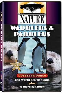 Nature – Sea Otter Story (1994) DVD Rip