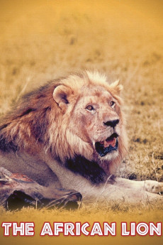 The African Lion Documentary مستند