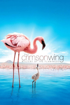 The Crimson Wing: Mystery of the Flamingos Documentary مستند