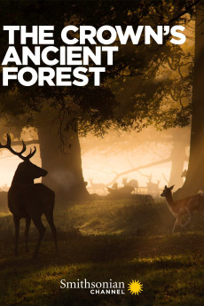 The Crown’s Ancient Forest Documentary مستند