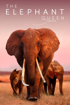 The Elephant Queen Documentary مستند