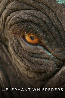 The Elephant Whisperers Documentary مستند