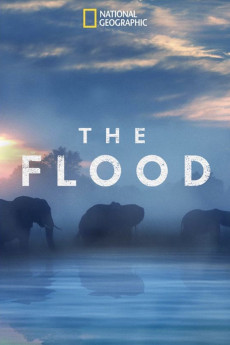 The Flood Documentary مستند