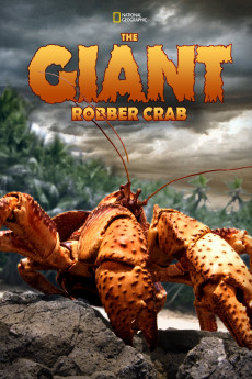 The Giant Robber Crab Documentary مستند