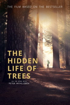 The Hidden Life of Trees Documentary مستند