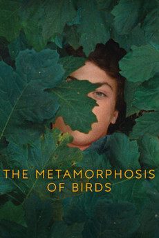 The Metamorphosis of Birds Documentary مستند