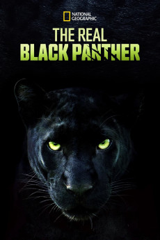 The Real Black Panther Documentary مستند