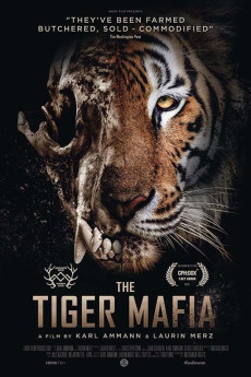 The Tiger Mafia Documentary مستند