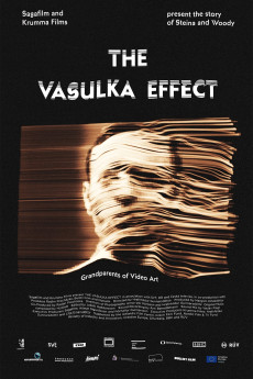 The Vasulka Effect Documentary مستند