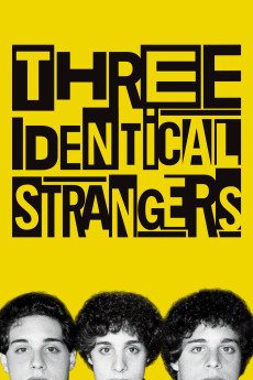 Three Identical Strangers Documentary مستند