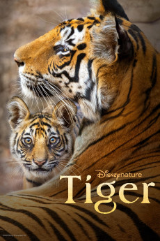 Tiger Documentary مستند