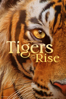 Tigers on the Rise Documentary مستند