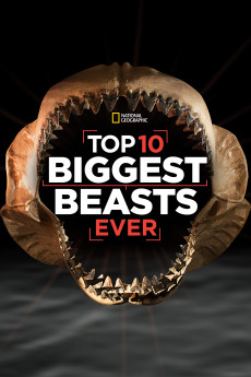 Top 10 Biggest Beasts Ever Documentary مستند