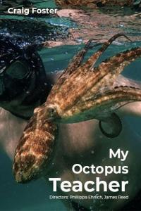 My.Octopus.Teacher.2020.720p.NF.WEB-DL.x265.HEVC-HDETG