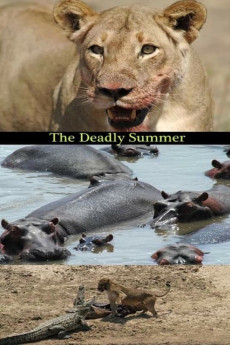 Wild Deadly Summer Documentary مستند