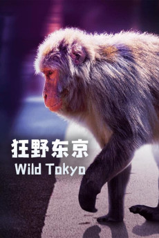 Wild Tokyo Documentary مستند