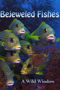 Wild Window: Bejeweled Fishes Documentary مستند