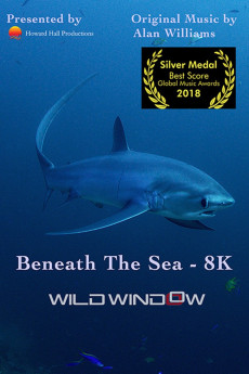 Wild Window: Beneath the Sea Documentary مستند