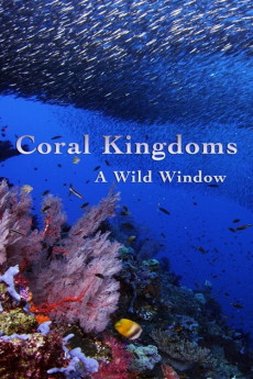 Wild Window: Coral Kingdoms Documentary مستند