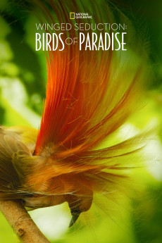 Winged Seduction: Birds of Paradise Documentary مستند