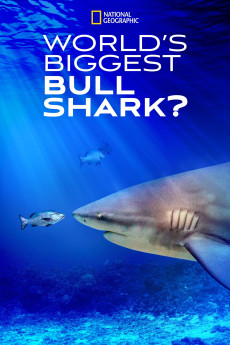 World’s Biggest Bull Shark Documentary مستند