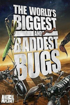 World’s Biggest and Baddest Bugs Documentary مستند